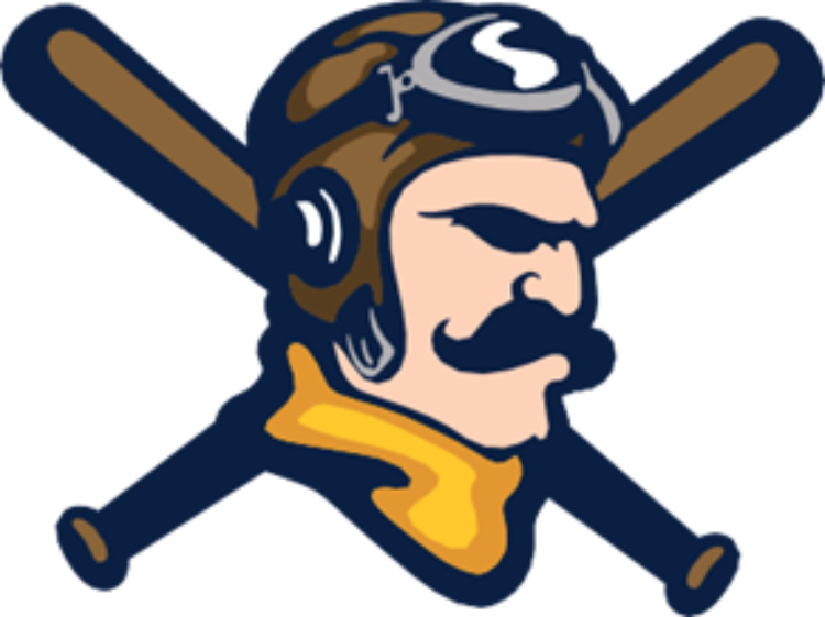 Picture of Women's - Cross Bats Logo Grey