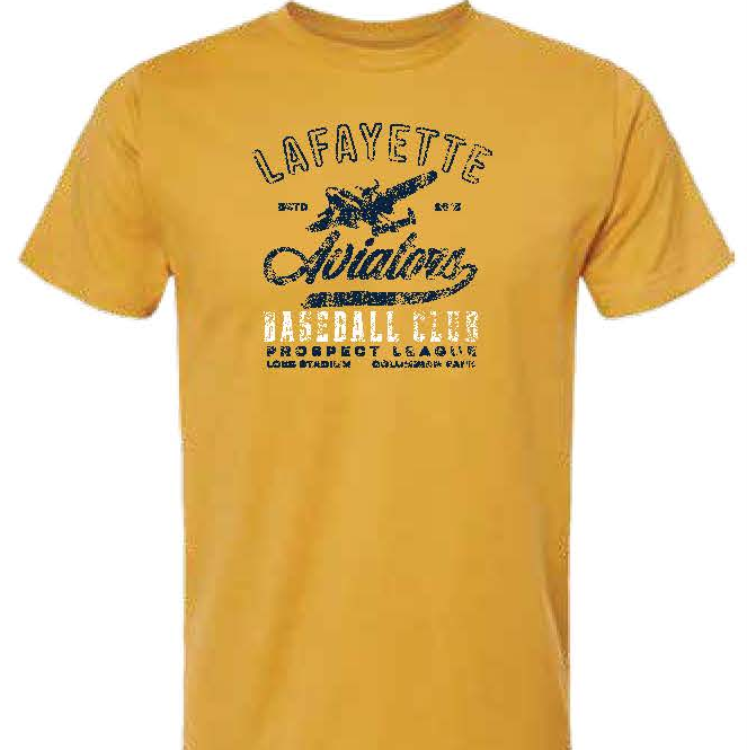 Picture of Ginger Airplane