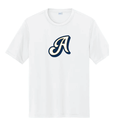 Picture of Batting Practice Jersey