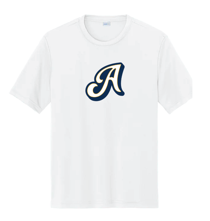 Picture of Batting Practice Jersey