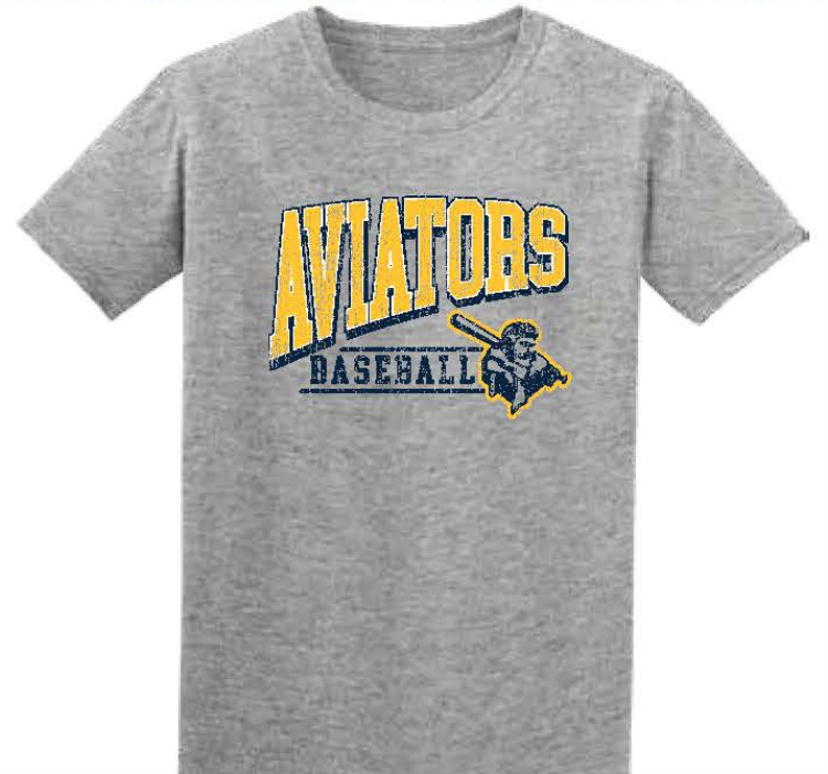 Picture of Aviators Slant