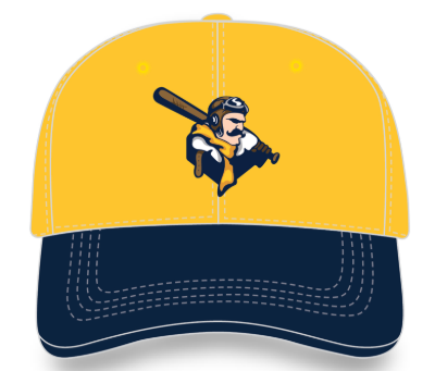 Picture of Two Tone Cap