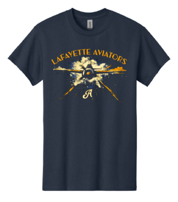 Picture of The Fighter